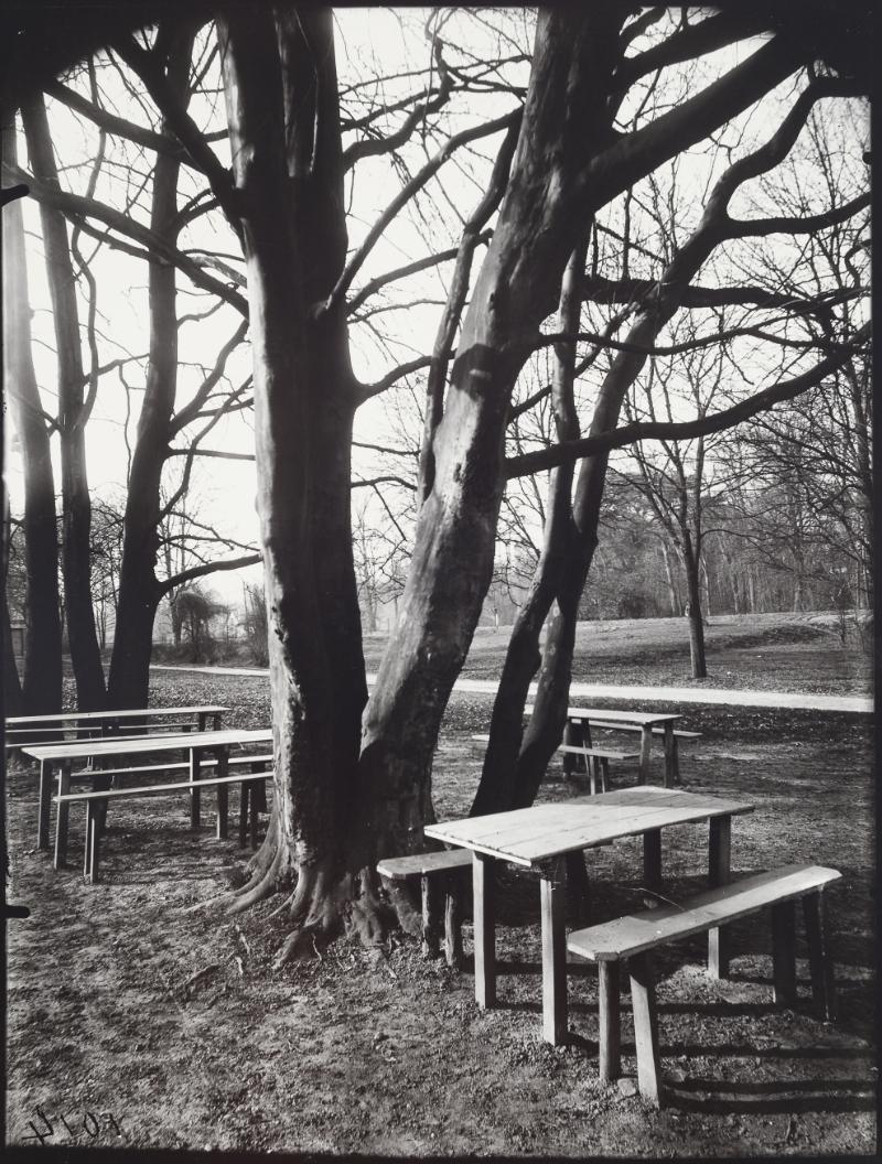 Saint Cloud: Corner of the Park