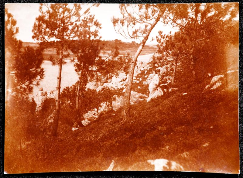 Woman in Pine Landscape