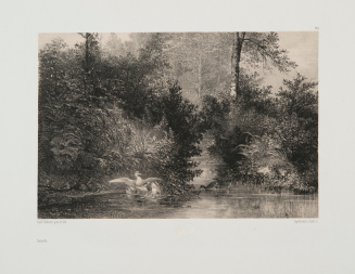 (Ducks), Plate 194 from the series Les Artistes Anciens et Modernes
