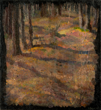 Untitled (forest)
