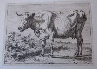 Cow from Het Bullenboekje