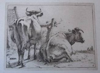 Two Cows from Het Bullenboekje
