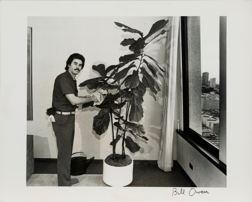 A plant serviceman cleans, trims, prunes, waters and exchanges rented plants from the portfolio Working