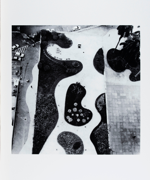 Burle Marx, Rio de Janeiro, Brazil from the series Brasil