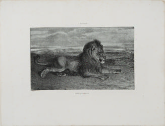 Lion de Perse