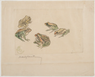 Six Frogs