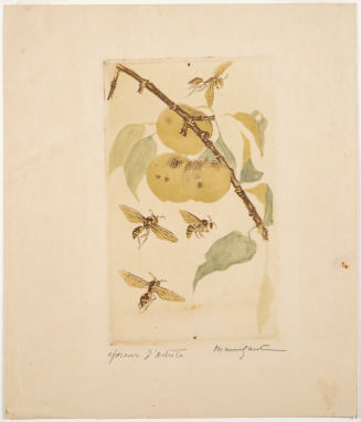 Untitled (Wasps and apples)