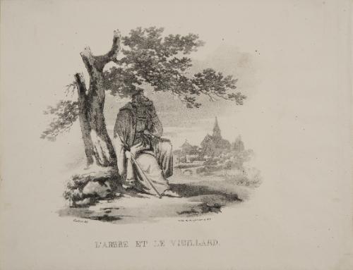 L'Arbre et le Vieillard