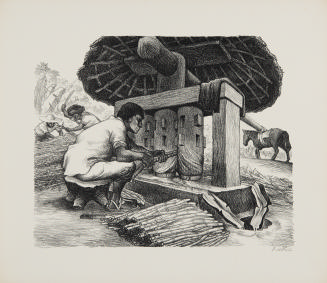 Grinding Sugar Cane from the portfolio Mexican People