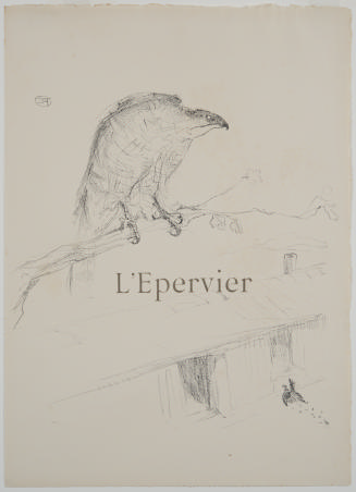 Hawk, illustration from Histoires Naturelles