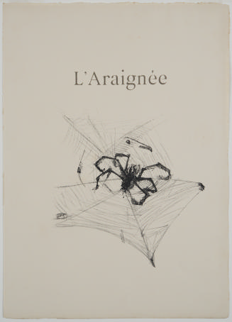 The Spider, illustration from Histoires Naturelles