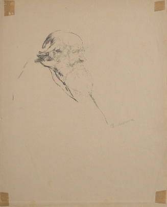 (Portrait of a Bearded Man)