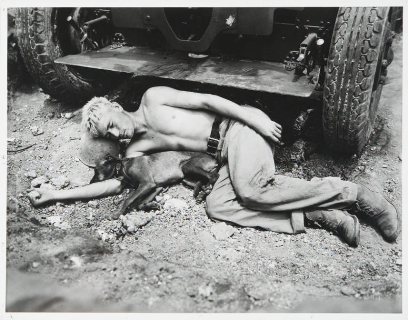 Untitled (Tired Marine and dog sleep on bed of rocks, Okinawa)