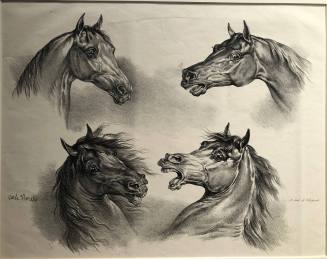 Four Horses' Heads from the series Study of Horses