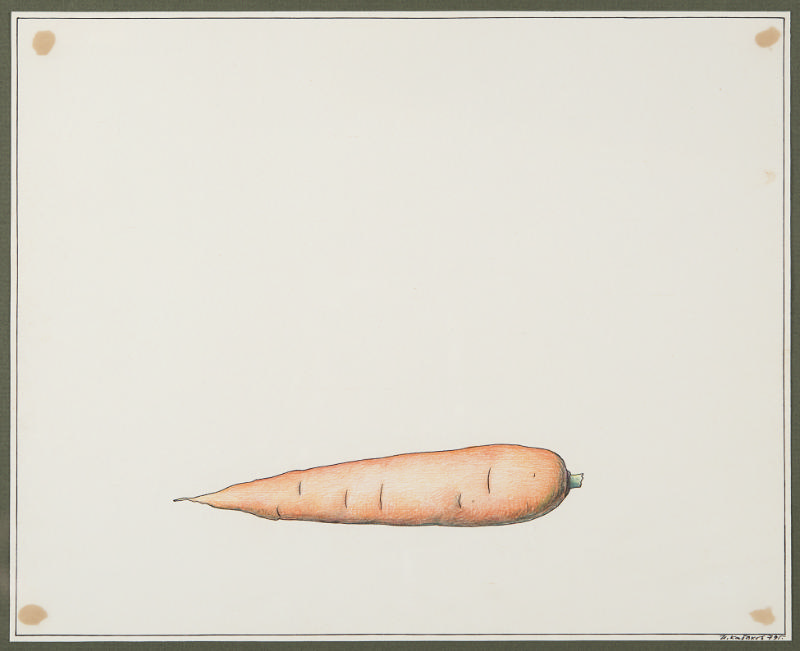 Carrot from the series Fruits and Vegetables