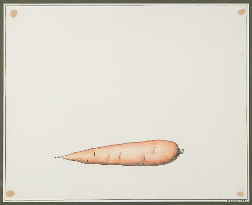 Carrot from the series Fruits and Vegetables