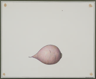 Turnip from the series Fruits and Vegetables