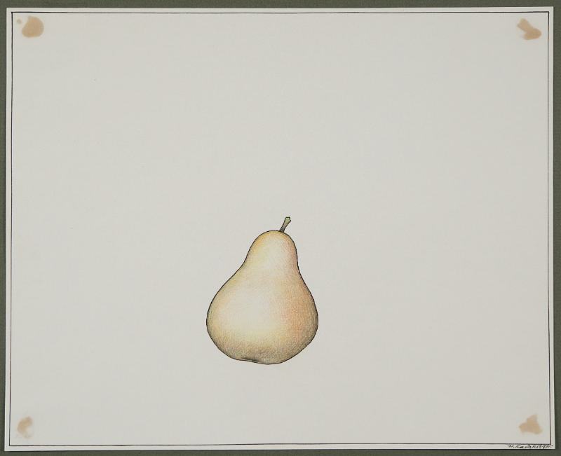 Pear from the series Fruits and Vegetables