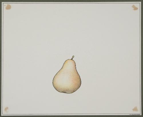 Pear from the series Fruits and Vegetables