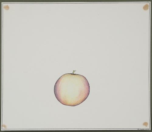 Peach from the series Fruits and Vegetables