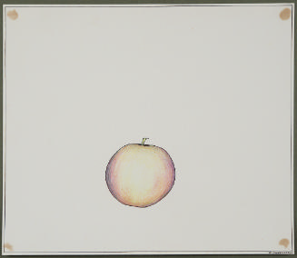 Peach from the series Fruits and Vegetables