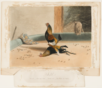 Death from the series Stages of a Cock Fight