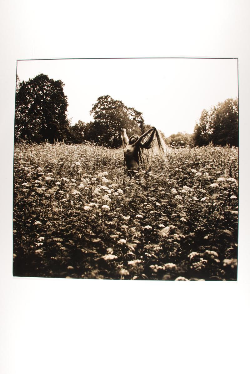 Nude in Field of Flowers