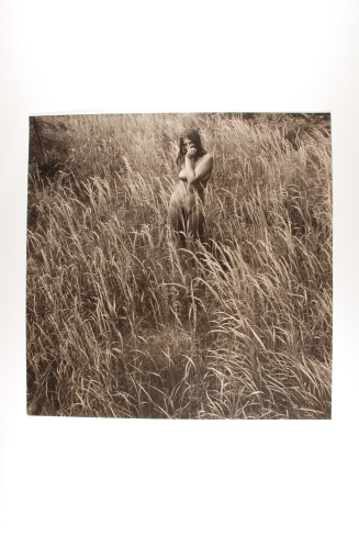 Nude Standing in Wheat Field