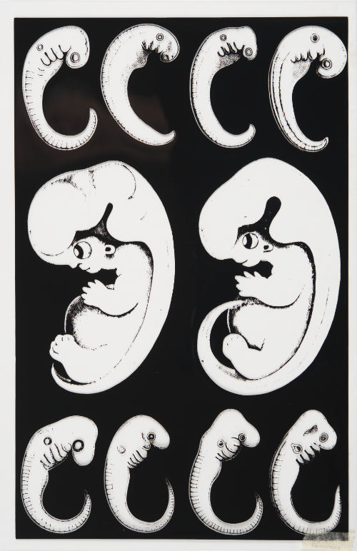 Embryos from the portfolio Moonstrips Empire News