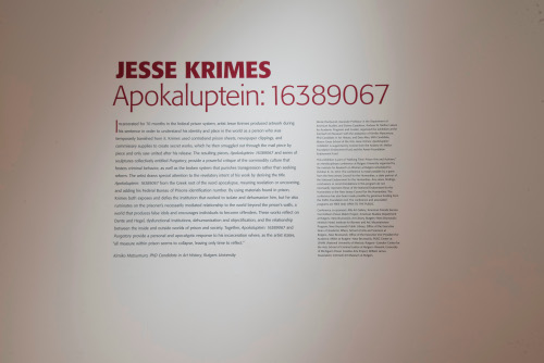 Jesse Krimes: Apokaluptein:16389067
