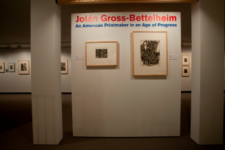 Jolán Gross-Bettelheim: An American Printmaker in an Age of Progress