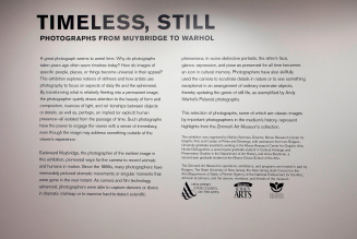 Timeless, Still: Photographs from Muybridge to Warhol