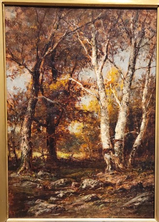 Untitled (Forest scene)