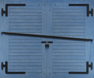 Blue Garage Doors from the series Views of the Yard