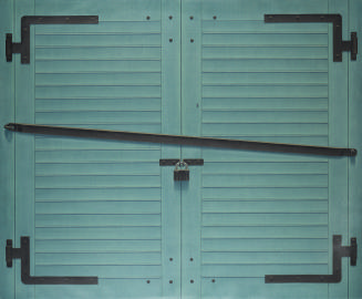 Green Garage Doors from the series Views of the Yard