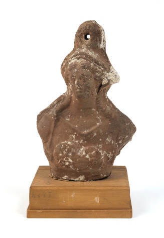(Bust of female)