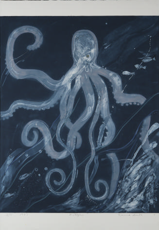 Octopus from the Aquarium Series