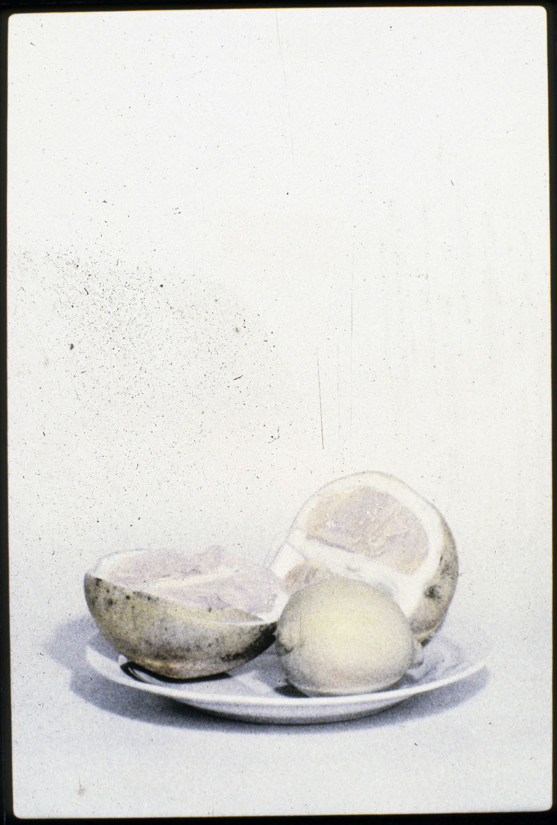 Still Life With Lemon #3