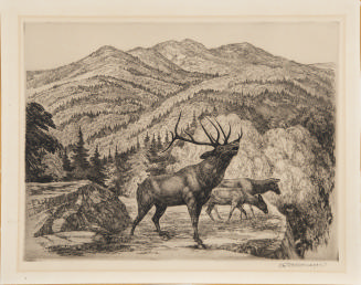 (Moose in Mountain Landscape)