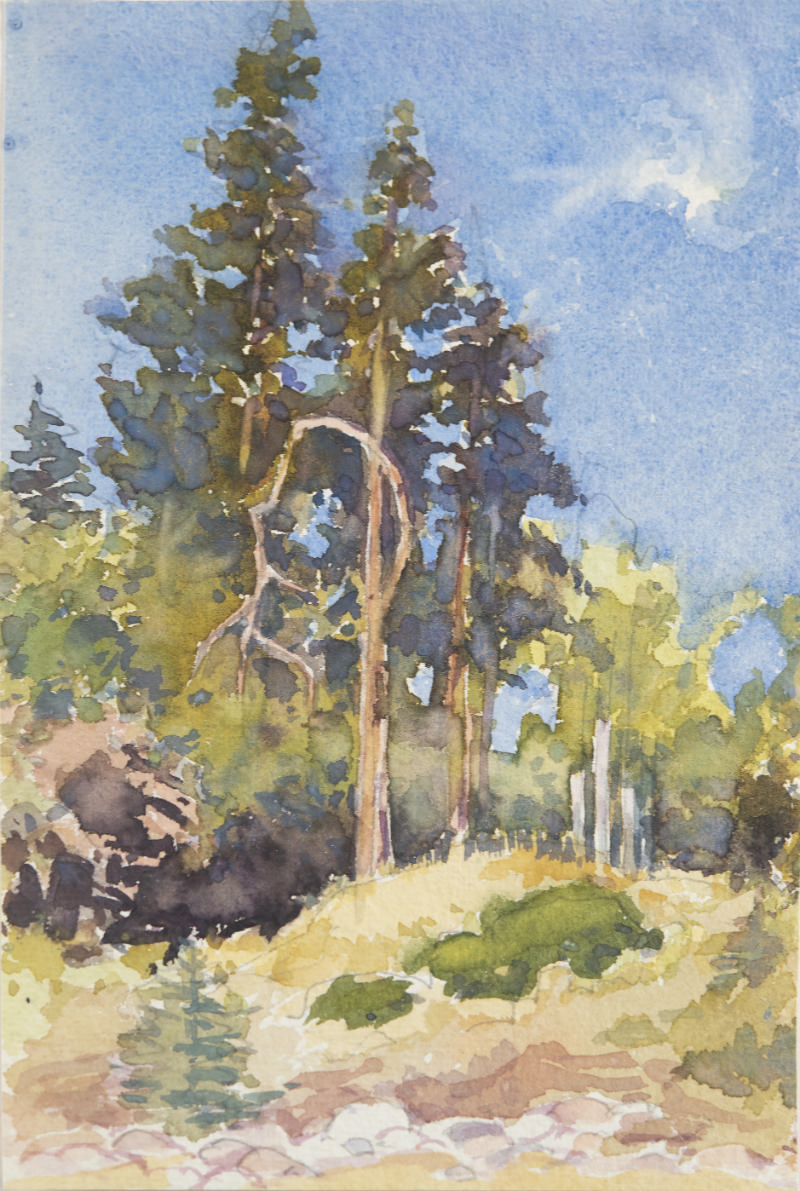 (Landscape with Trees)