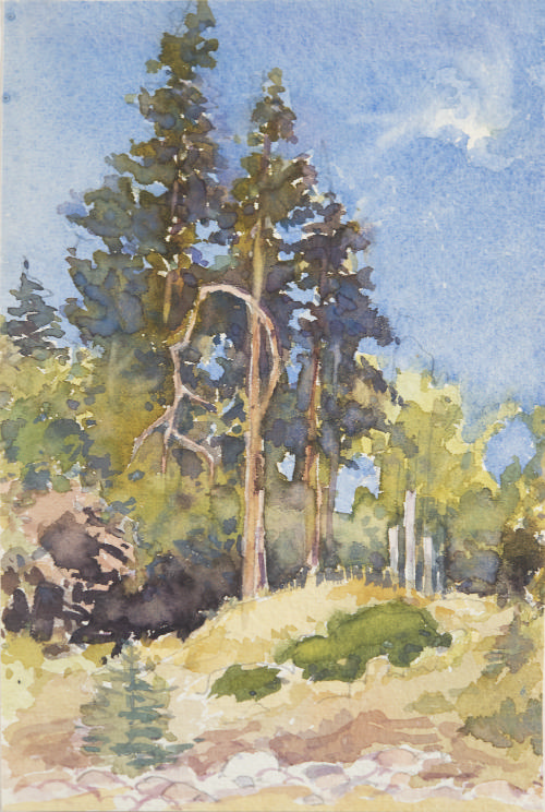 (Landscape with Trees)