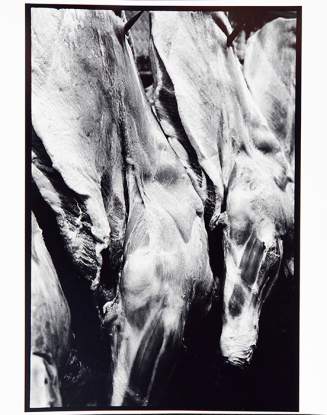 Untitled (Premiere Veal, West Street, NY #1)