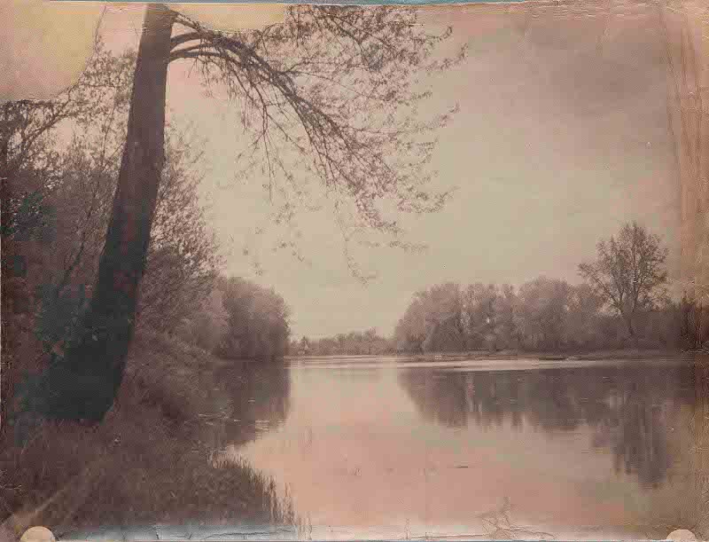 Szigetbecse, A Tree Reflected in the Back Water