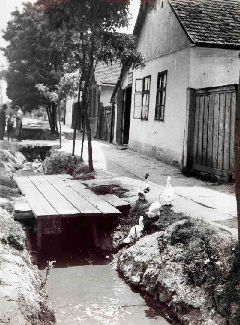 View of Radak St.,Abony