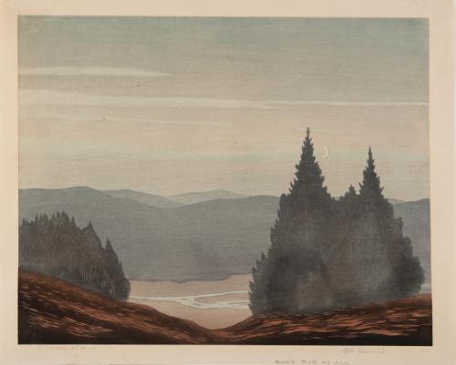 Untitled (Alpine landscape at night)