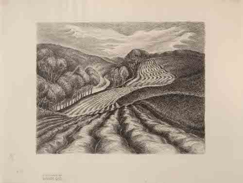 Ploughed Fields