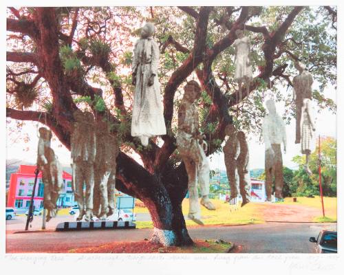 The Hanging Tree, Scarborough, Tobago