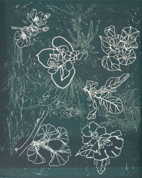 Important Flowers from MGSA Barbara Madsen's Graduate Print Portfolio Fall 2016