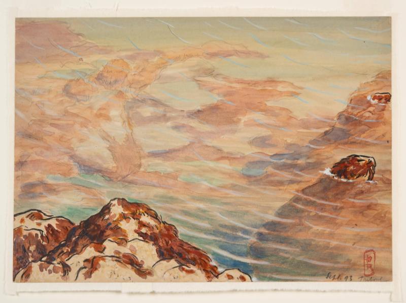 Study of a Wave at Treboul