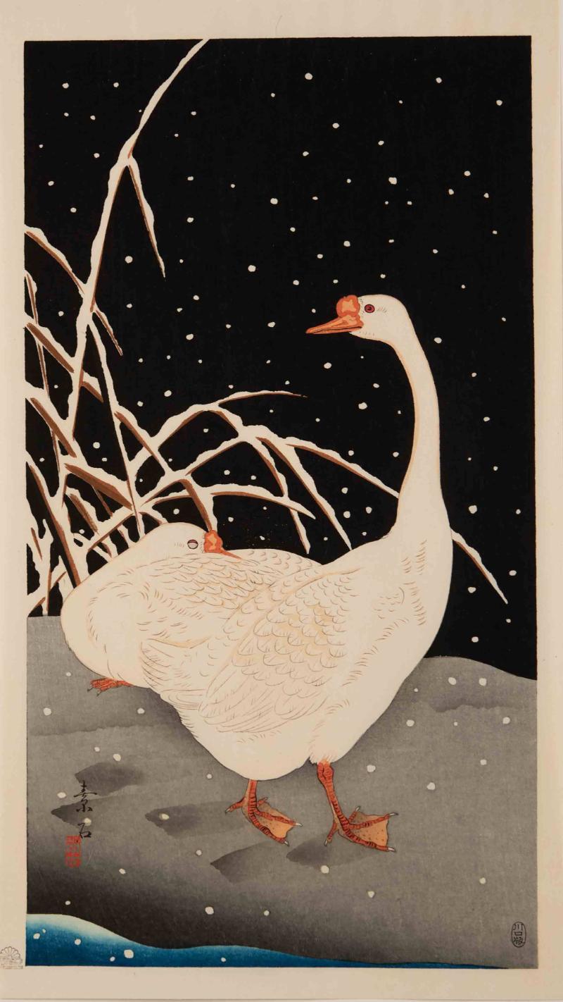 Geese in Snow